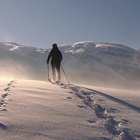 Das Grasberghaus Buitenkant foto